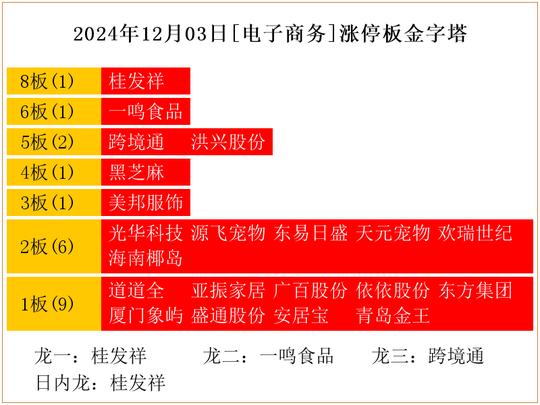 2024年12月03日[电子商务]涨停板金字塔