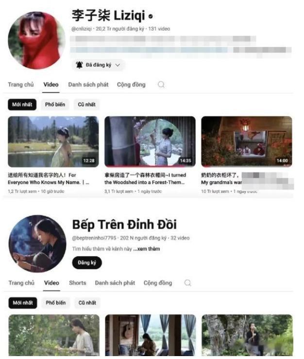 李子柒改变视频风格，越南模仿者傻眼了，不知道怎么抄袭  第4张