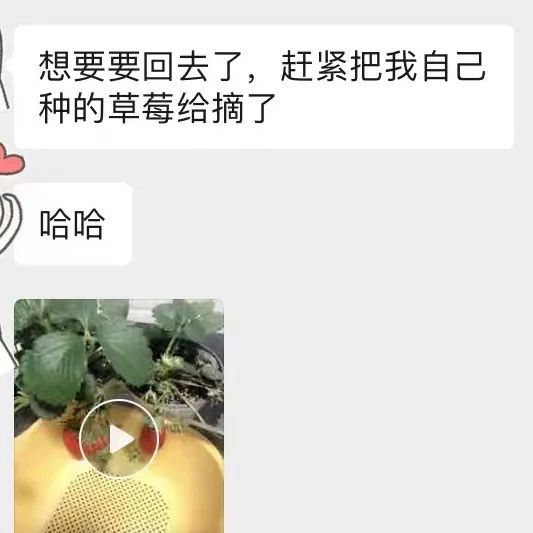 开局拿下豆瓣9.1，《好东西》里真的有好东西