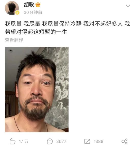 刘德华怼梁朝伟被揭过，胡歌发“丑照”被劝删，粉丝也搞双标？  第14张