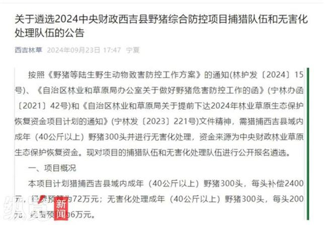 数十头野猪拖家带口乞讨为生！网友惊呆：慈眉善目、点头哈腰…  第10张