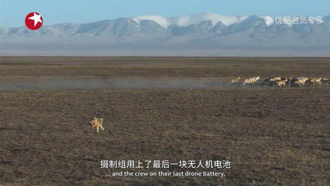 纪录片《亚洲》：献给认知之外，我们赖以生存的地方  第13张