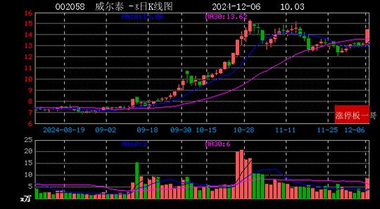 2024年12月06日新能源汽车涨停板梳理  第16张