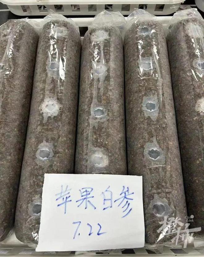 网友钓到条“带编码”的鱼，担心是谁的“毕业论文”？出处找到了……