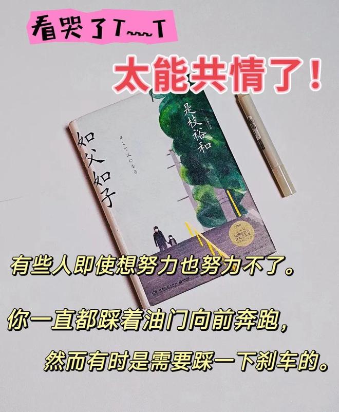 评分8.7，20万人泪崩！它狠狠地让所有父亲陷入沉思：看懂的，都是痛过的人...