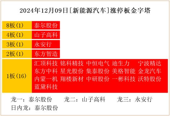 2024年12月09日[新能源汽车]涨停板金字塔  第1张