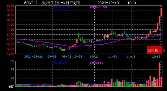 2024年12月10日西部大开发涨停板梳理  第4张