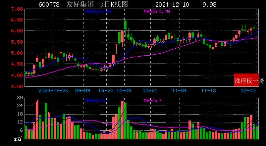 2024年12月10日西部大开发涨停板梳理  第6张