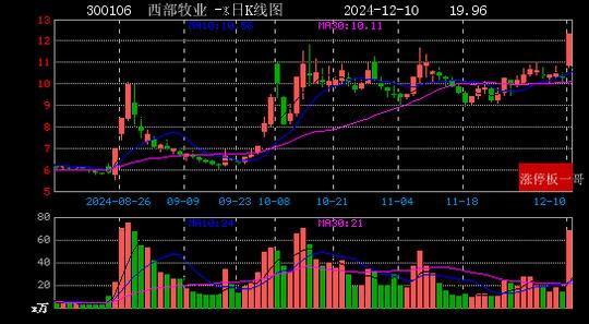 2024年12月10日西部大开发涨停板梳理  第13张