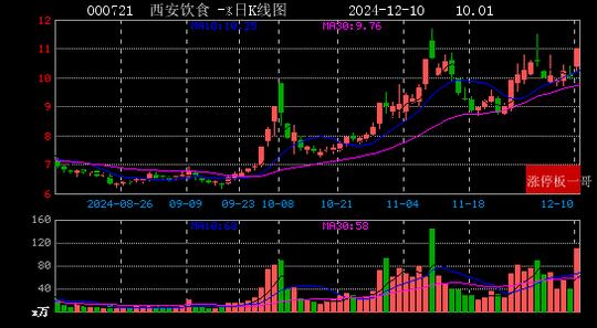 2024年12月10日西部大开发涨停板梳理  第11张