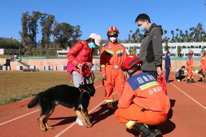 云南消防39只搜救犬“考编”失败？回应：本批“上岸率”仅1/3，已有八百多人报名领养