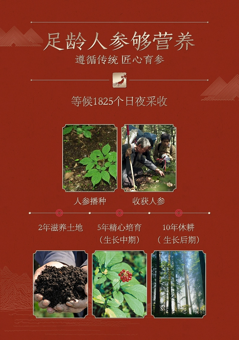 长白山人参旗舰店：全须红参 / 生晒参礼盒 99 元 4 盒上新（赠礼袋）