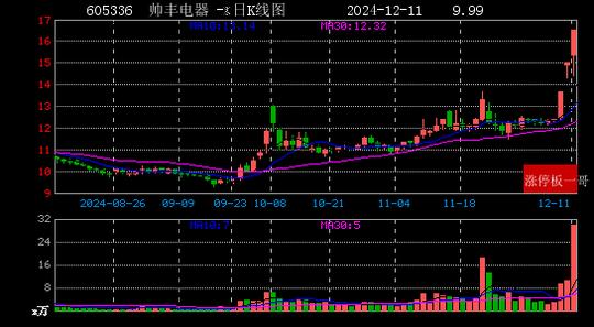 2024年12月11日电子商务涨停板梳理