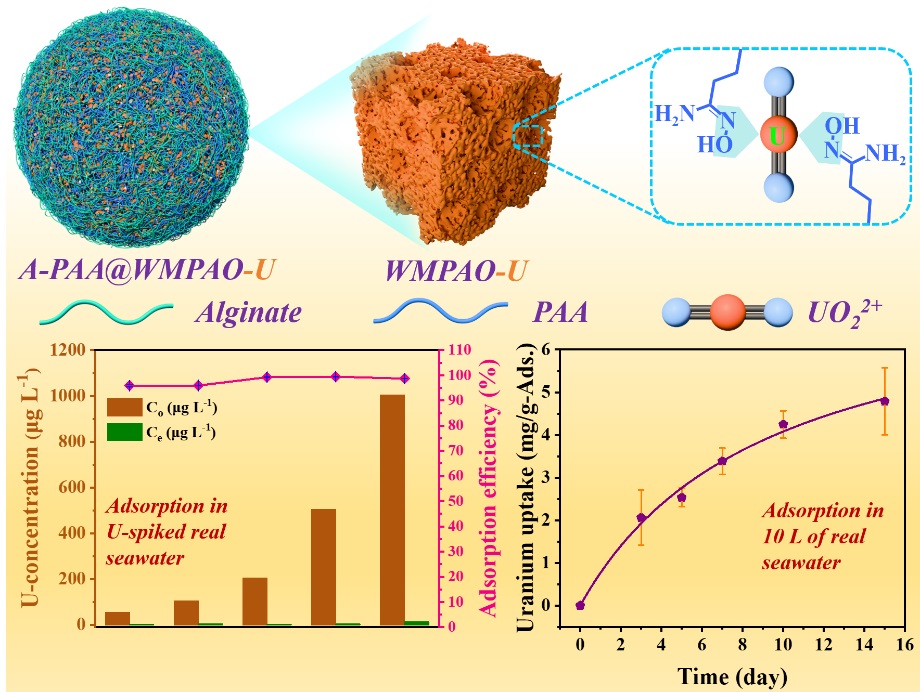 中国科学院大连化物所研发出可实现高效海水提铀的复合吸附材料  第2张