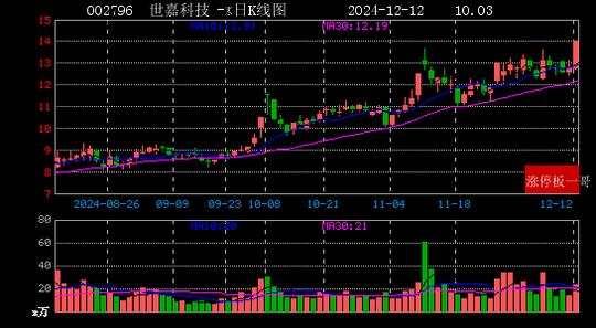 2024年12月12日一带一路涨停板梳理