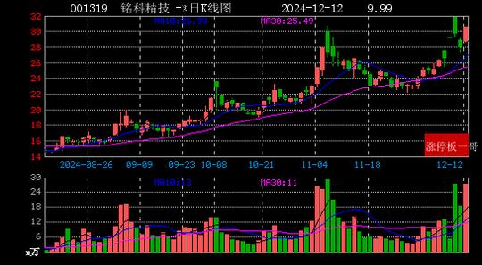 2024年12月12日一带一路涨停板梳理  第10张