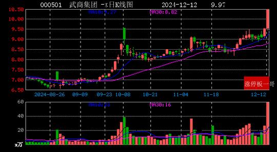 2024年12月12日一带一路涨停板梳理  第16张