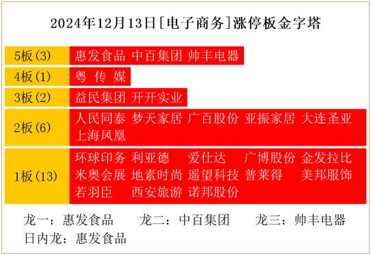 2024年12月13日[电子商务]涨停板金字塔