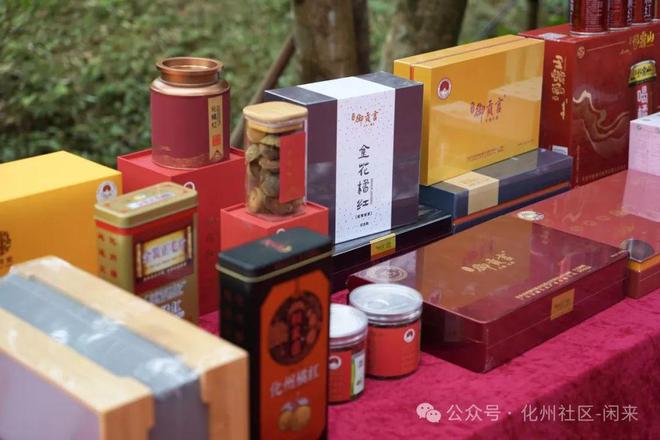 112年化橘红古树下开机拍摄！短剧《天下第一红》再续新篇  第12张