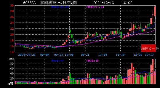 2024年12月13日华为概念涨停板梳理