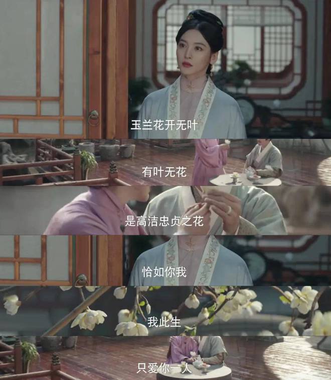 《九重紫》王映雪作恶的反噬，便是窦明不可救药的爱上纨绔魏廷瑜