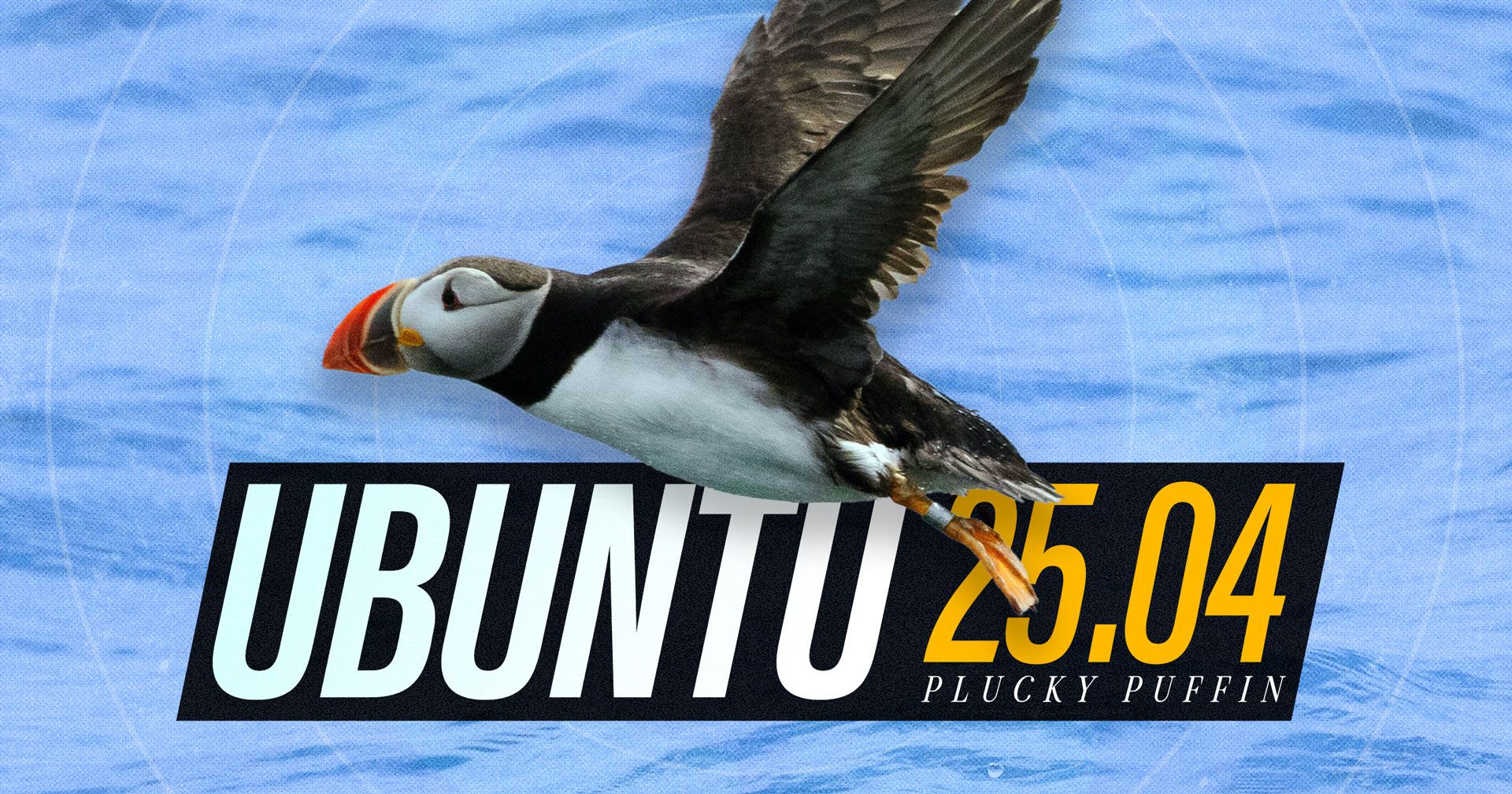 Ubuntu 25.04 内核确定，Linux 6.14 带来全新体验