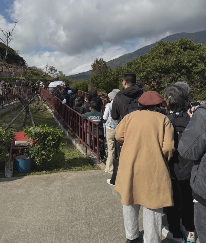 琼瑶葬礼细节曝光，白色棺材堆满鲜花，告别厅铺满花瓣  第30张