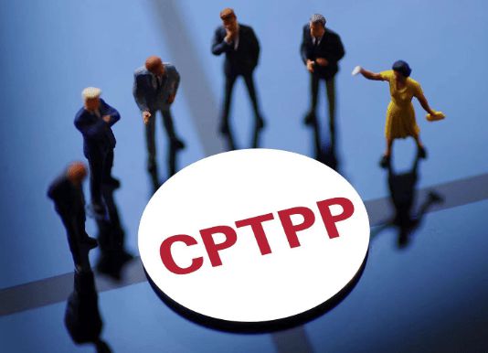 深度 | 正式加入CPTPP，英国为何“敢为欧洲先”？  第3张