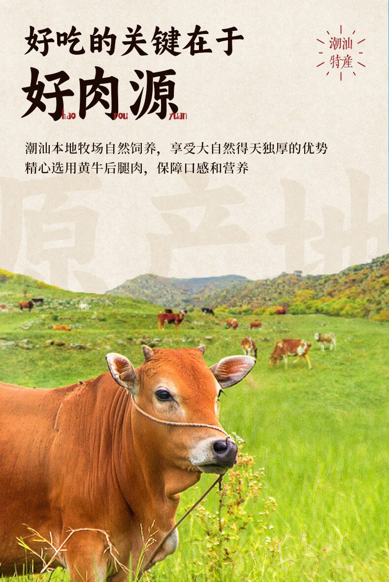 干干净净配料表：潮汕手打牛肉丸、牛筋丸 17 元 / 斤尝鲜大促（送沙茶酱）  第14张