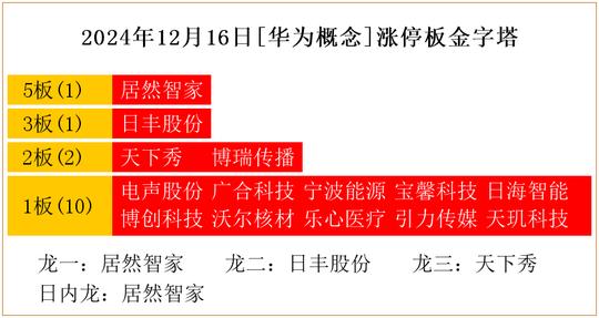 2024年12月16日[华为概念]涨停板金字塔