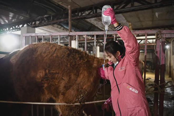 百万粉女网红自曝患病！9个月住院三次，各种疼痛…这种病人畜共患，容易误诊！