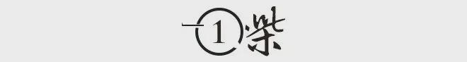 48岁李小冉与刘晓庆同台，曾因太漂亮男友被砍，38岁嫁富豪男闺蜜