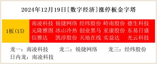 2024年12月19日[数字经济]涨停板金字塔