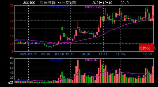 2024年12月19日新能源汽车涨停板梳理  第10张