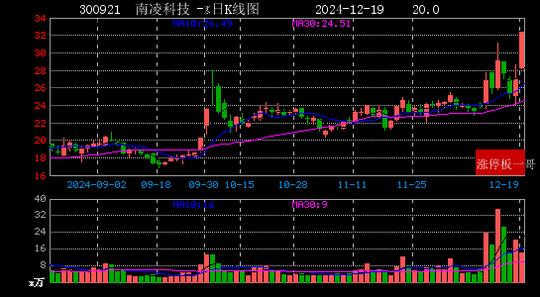 2024年12月19日华为概念涨停板梳理