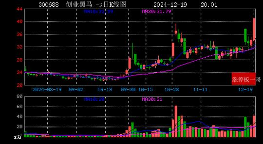 2024年12月19日华为概念涨停板梳理  第17张