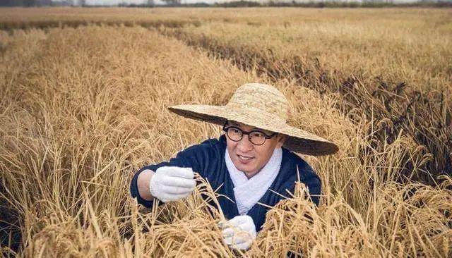 李亚鹏卖白酒又成“接盘侠”？明星转行几家欢喜几家愁……  第8张