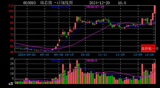 2024年12月20日芯片概念涨停板梳理