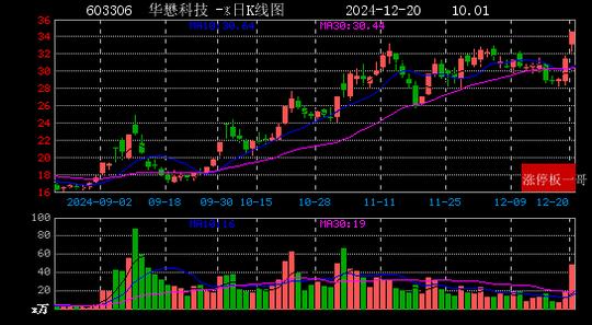 2024年12月20日芯片概念涨停板梳理