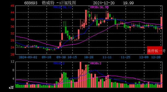 2024年12月20日芯片概念涨停板梳理  第10张