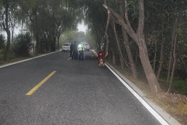 断裂树枝悬挂马路上方，54岁女子骑车撞上不幸身亡！交警认定死者主责，当地政府次责，双方均有异议