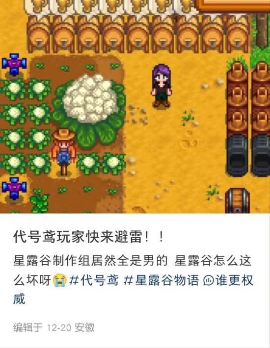 《星露谷》遭乙游赛博殖民?Steam版主置顶中文公告