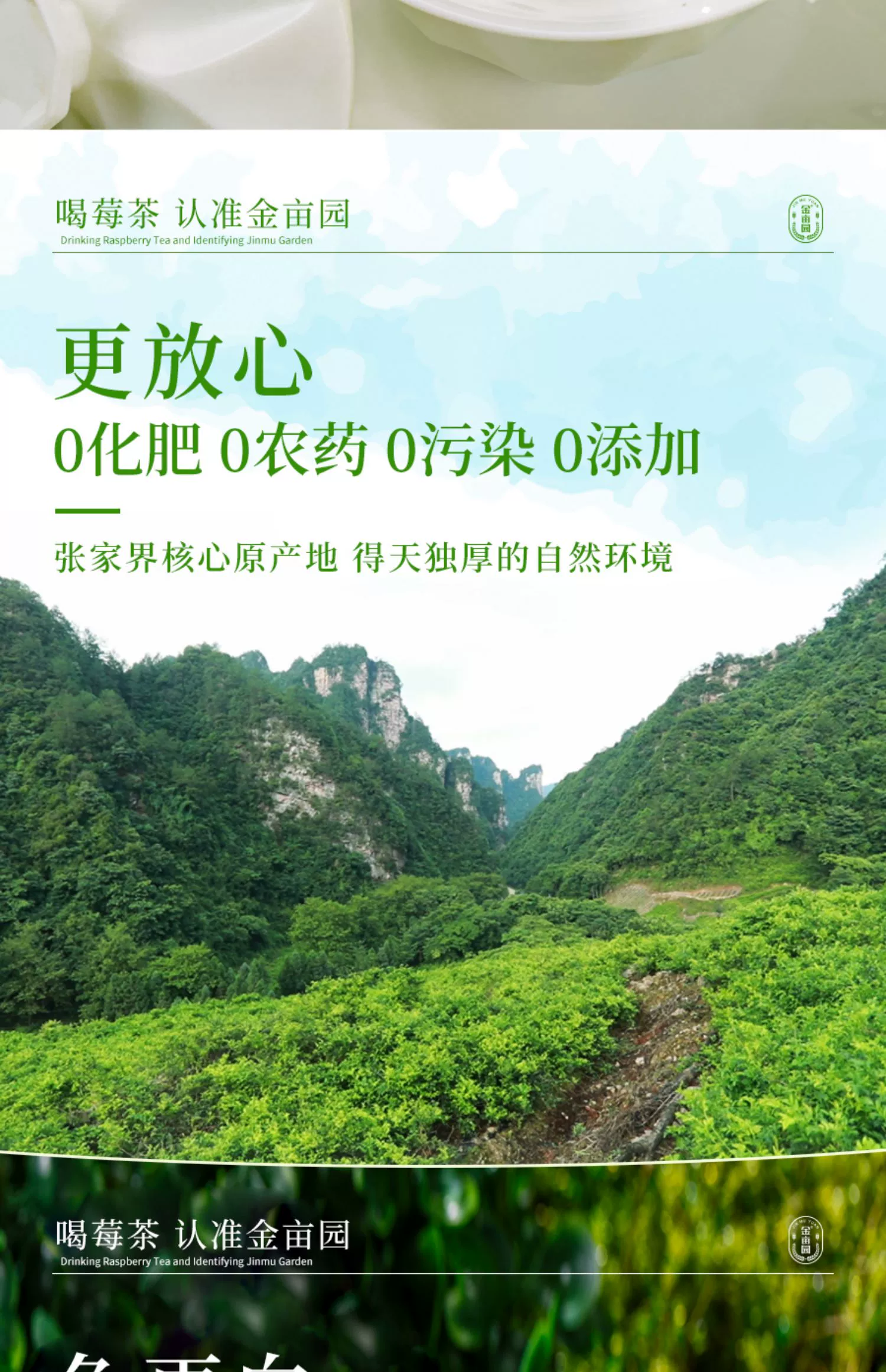 入口微苦，持久回甘：张家界芽尖莓茶 60 克 38 元尝鲜冲量（低过多多）  第10张