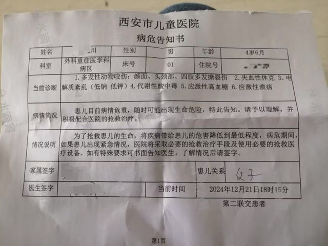 西安一4岁男童被狗咬伤住进ICU 警方：已对犬主刑事拘留｜封面深镜  第2张