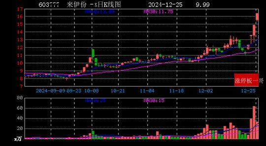 2024年12月25日人工智能涨停板梳理  第2张