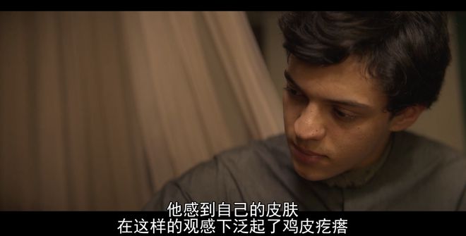 看过剧版《百年孤独》，我决定夸一夸网飞  第16张