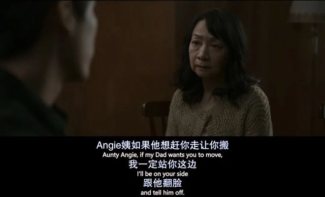 内陆注定无法引进？直击东亚婚姻现实困境，这港片后劲十足  第26张