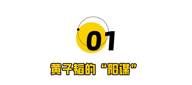 一夜之间，黄子韬托举雷军上神坛  第4张