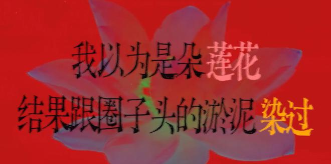 小红书达人：49图库今晚开奖-周芯竹事件后续！周密宣布大动作！  第11张