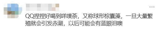 新浪社区：86949.cσm查询澳彩-海边密集出现“爆爆珠”？广州、深圳等多地发布提醒  第6张